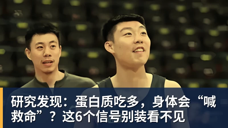 彩神v研究发现：蛋白质吃多，身体会“喊救命”？这6个信号别装看不见